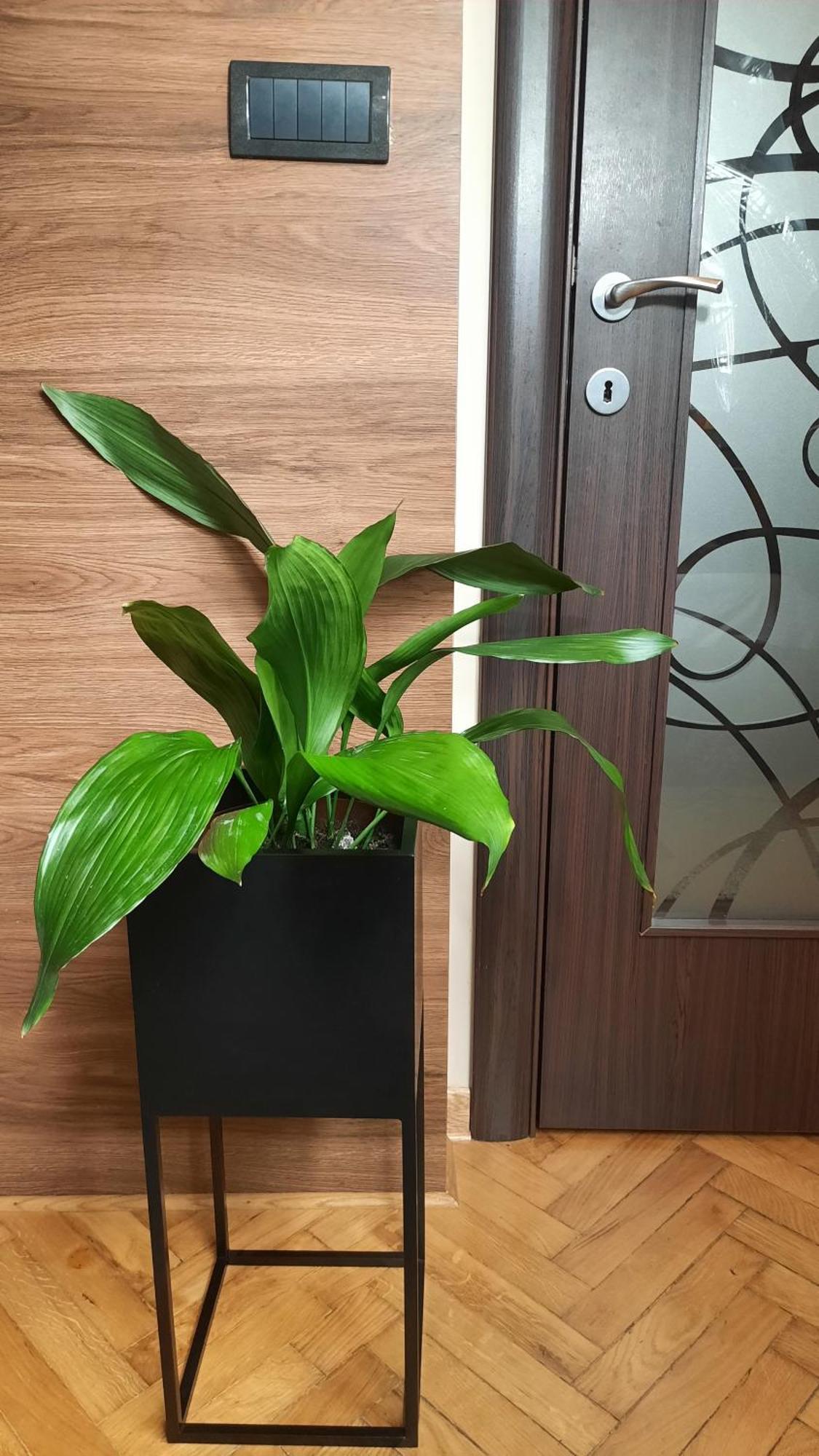 קרגיובאק Stan Na Dan Apartman D Lux Jacuzzi מראה חיצוני תמונה